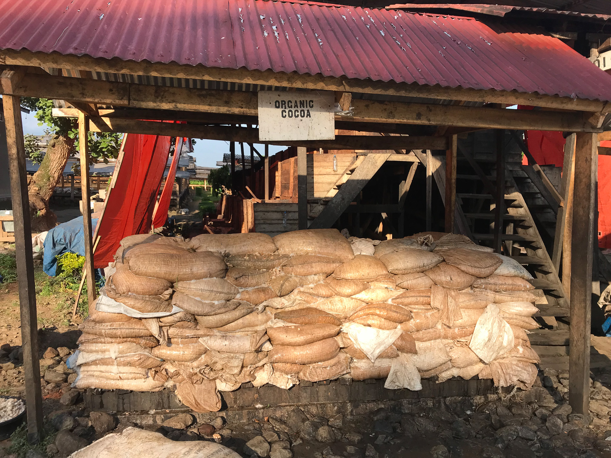 Cocoa sourcing photo